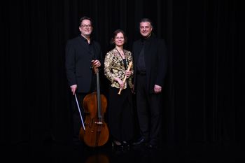 Glasbeno poletje v Bohinju: “ARMONIE VENEZIANE”