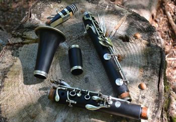 Glasbeno poletje v Bohinju: Klarinetkanje