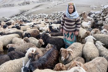 Štala na Ranču Mrcina: Pakistan