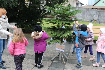 PRAZNIČNA KRASITEV MESTNEGA PARKA V TREBNJEM