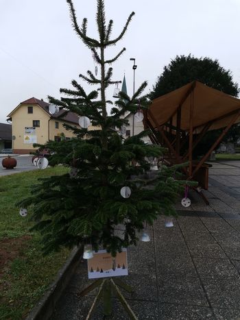 KRASITEV MESTNEGA PARKA V TREBNJEM