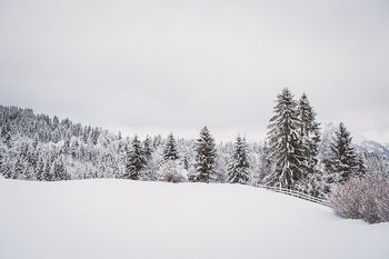 Voščilo Zavoda MADINAT