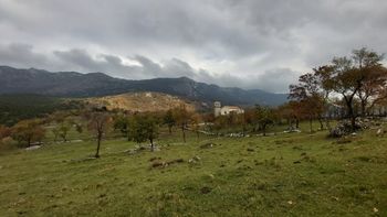 Planinski kralj Planinski kralj