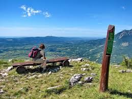 Zdravo življenje Zdravo življenje