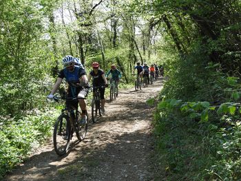 Planinci tudi na kolesih