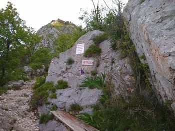 Perunike pod Otliškim oknom