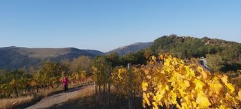 Brje in Sveti Martin