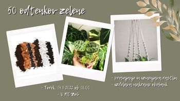 50 ODTENKOV ZELENE