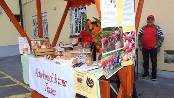 Krompir naš vsakdanji