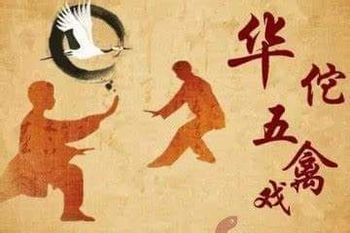 Vadba Tai Qi Quan in Qi Gong