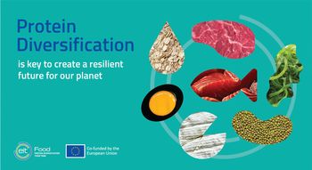 [EIT Food Policy Brief] EIT Food Protein Diversification Think Tank izdaja predstavitev priporočil politike o pospeševanju diverzifikacije beljakovin v Evropi