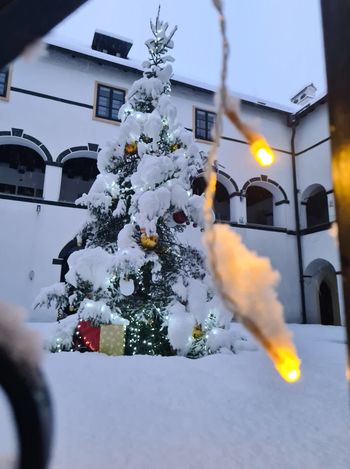 Božični dan na Bogenšperku