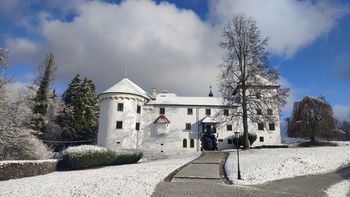 Javna vodenja na gradu Bogenšperk