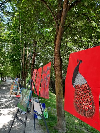 Sprehod ob Pšati Sprehod ob Pšati