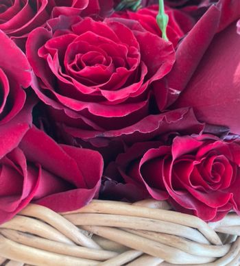 Odkriti pogovori:  Ženske, ki praznujejo 8. marec