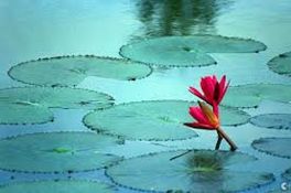 Kaj je najpomembnejše v življenju?