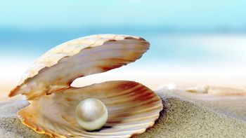 Kaj je najpomembnejše v življenju?