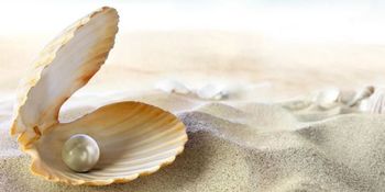 UČENJE ROŽNIH KRIŽARJEV V SEDANJOSTI