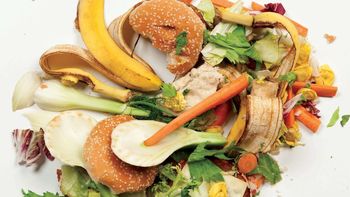 Odpadna hrana - ne, hvala! Varčujem!