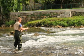 PREPOVED RIBOLOVA V RIBIŠKIH OKOLIŠIH V SAVINJSKEM RIBIŠKEM OBMOČJU IN POZIV K OMEJITVI OSTALIH AKTIVNOSTI TER UKREPANJU V VODNEM IN OBVODNEM PASU