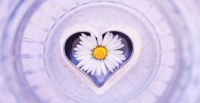 Kanaliziranje z Amalijo 