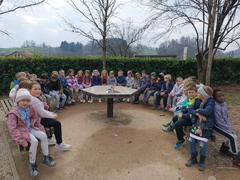 Drevesa, naši veliki prijatelji Drevesa, naši veliki prijatelji