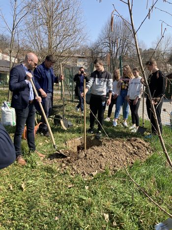 Dan sajenja medovitih rastlin
