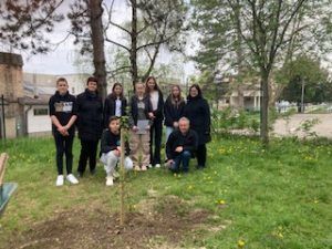 Sajenje drevesa pri OŠ Sava Kladnika Sevnica