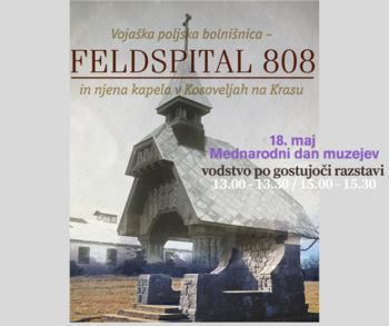 Brezplačni vodeni ogledi po gostujoči razstavi (Mednarodni dan muzejev)