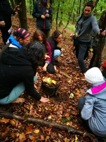 Nazaj k naravi z Inštitutom za gozdno pedagogiko