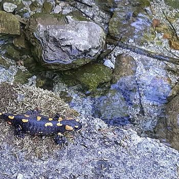   S HČERKO MARJETKO V STAR MALEN