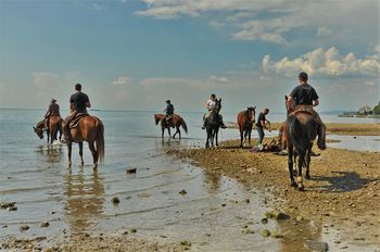FOTOGRAFSKA RAZSTAVA "S PIKOVO KONJENICO OD KRTINE DO MORJA"