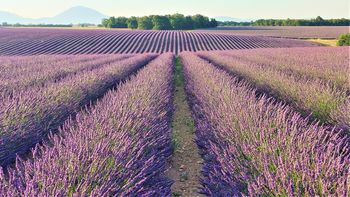 FOTOGRAFSKA RAZSTAVA "PROVANSA"