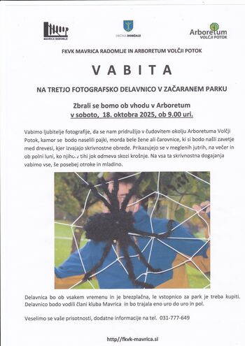 3. FOTOGRAFSKA DELAVNICA V ARBORETUMU VOLČJI POTOK "Začaran park"