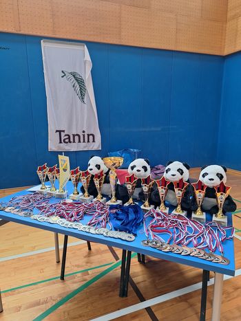 6. Pokal  KS Sevnica v JU JITSU – borbe v parterju, za otroke