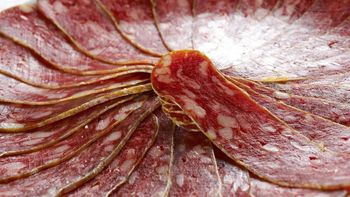 Zgornjesavinjski želodec