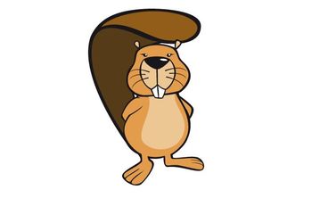 Šolsko in državno tekmovanje ACM Bober