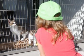 Dan odprtih vrat Zavetišča Gmajnice