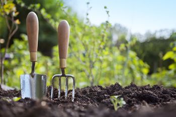 Spomladanska opravila v zelenjavnem vrtu Spomladanska opravila v zelenjavnem vrtu