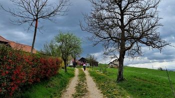 Rudolfovanje poleg pohodnikov pritegnilo tudi kolesarje