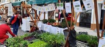 ZELEMENJAVA – POMLAD 2022