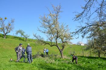 Evropski dan travniških sadovnjakov