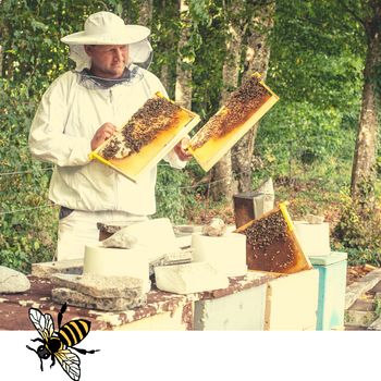 Čebelarski praznik 2022 Čebelarski praznik 2022