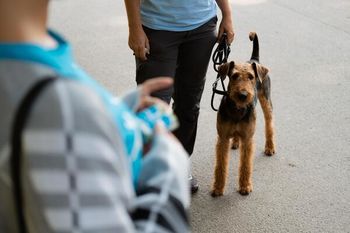 Odgovorni skrbniki psov pobiramo pasje kakce