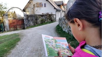 S čebelico po Radovljici