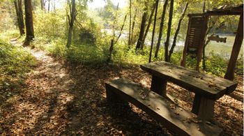 Pot ob Savi: Prisluhni Savi