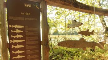 Pot ob Savi: Prisluhni Savi