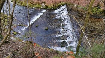 Vodna učna pot Grabnarca