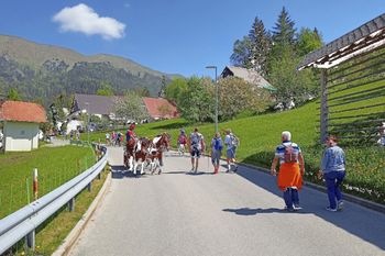 Prvi konec tedna zabeležili ogromno število obiskovalcev narcis