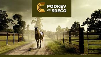 Delavnica: Kako skrbeti za psa in konja